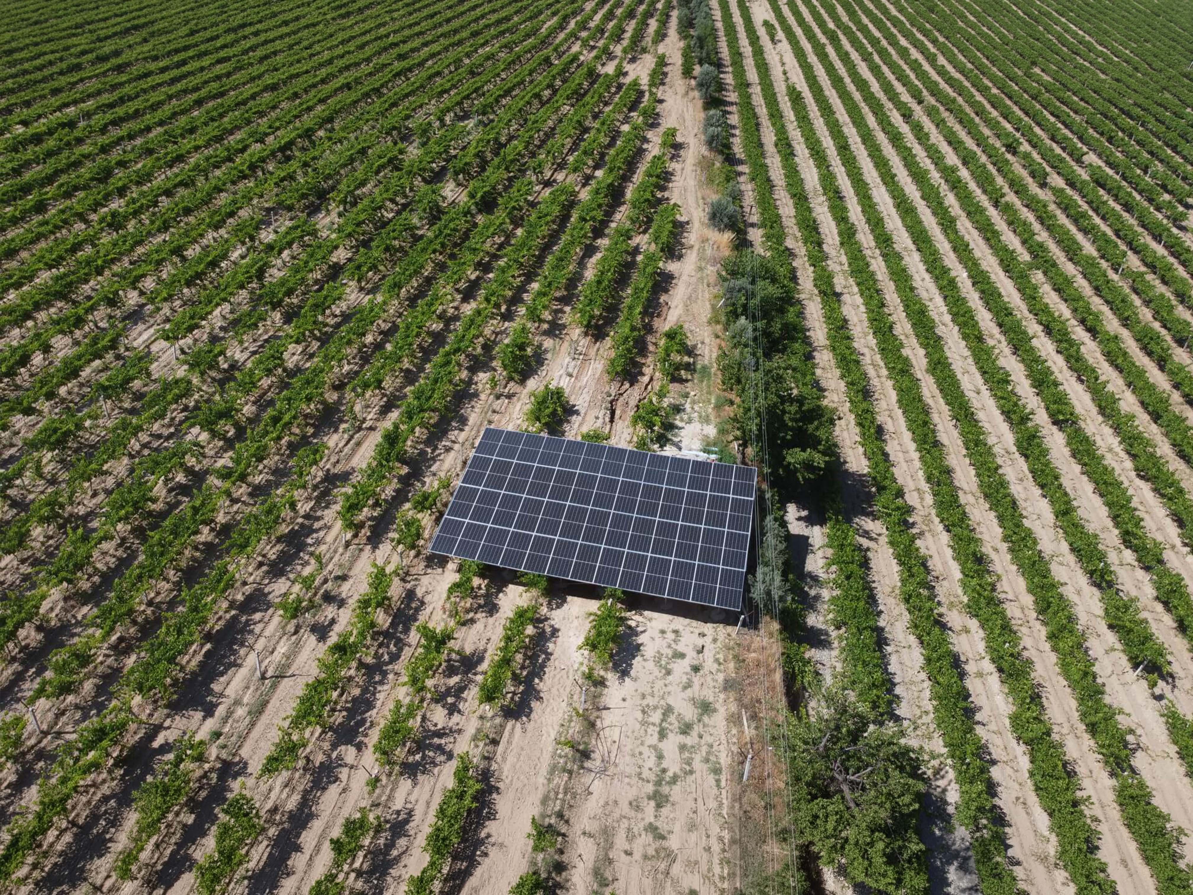 Buldan Tarımsal GES-2