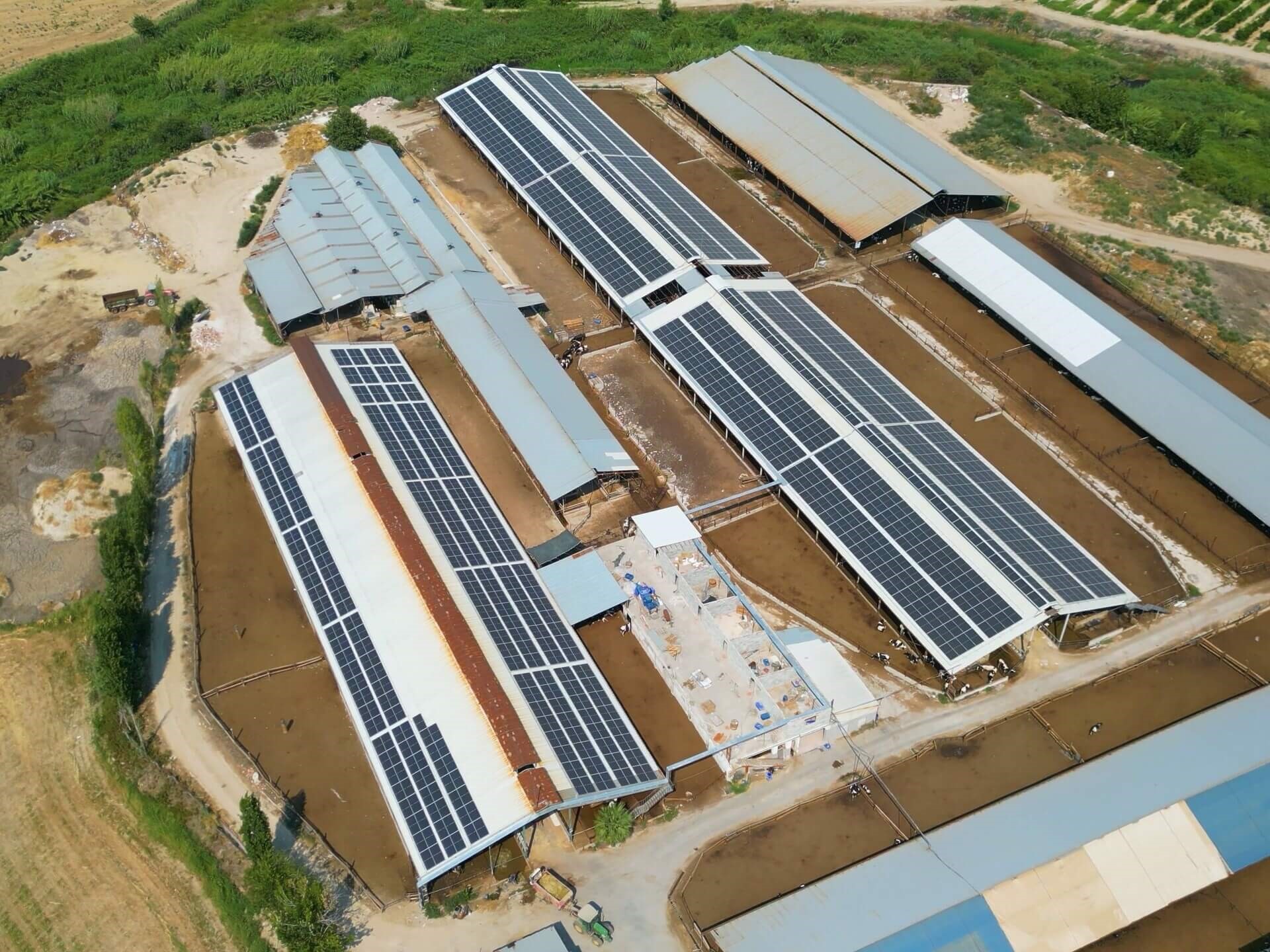 Arat Petrol Tarım-2